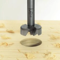 LUX Forstner-Bohrer 10 Mm -LUX 415316 picture1